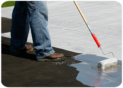 PASA Protecto Cement